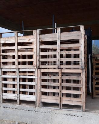 Bins legno
