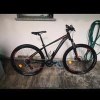 mtb orbea tg s