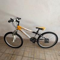 bicicletta