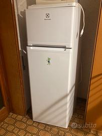 Frigorifero Rex Electrolux