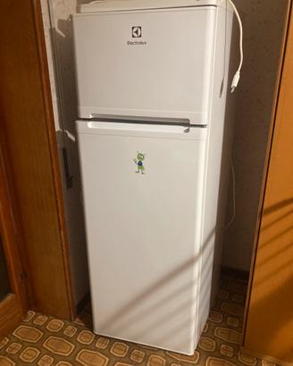 Frigorifero Rex Electrolux
