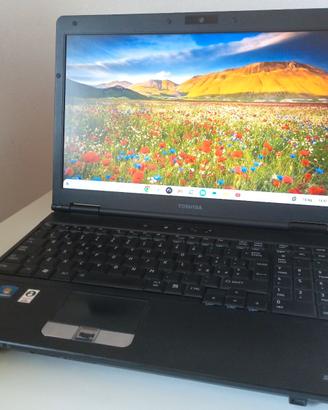 PC portatile laptop Toshiba 15.6" 160GB