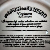 piatti da collezione 