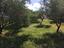 Immagine 27