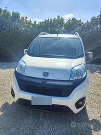 fiat qubo