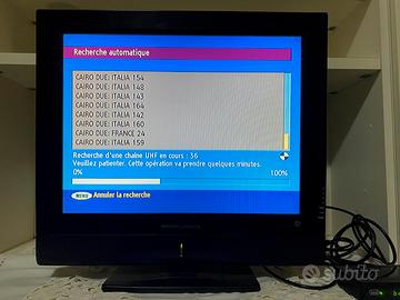 TV piatta Easy Living LCD funzionante
