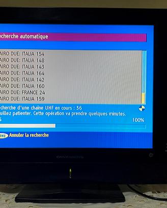 TV piatta Easy Living LCD funzionante