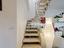 Immagine 14