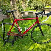 Bicicletta corsa carbonio 