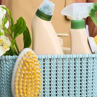 Pulizie Domestiche di Domenica