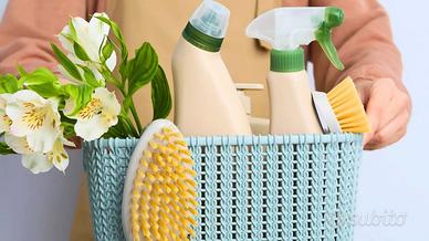 Pulizie Domestiche di Domenica