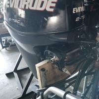 Evinrude E-tec 2010