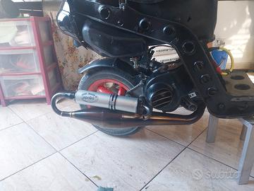 marmitta polini evoluzione per piaggio 