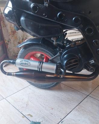 marmitta polini evoluzione per piaggio 