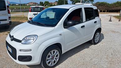 Fiat Panda 900 Turbo N.Power Pop Van Allestita
