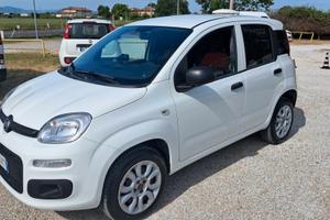 Fiat Panda 900 Turbo N.Power Pop Van Allestita