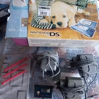 Nintendo Ds 