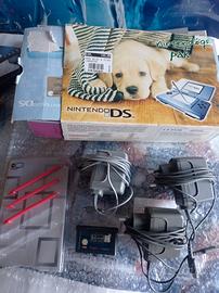 Nintendo Ds 