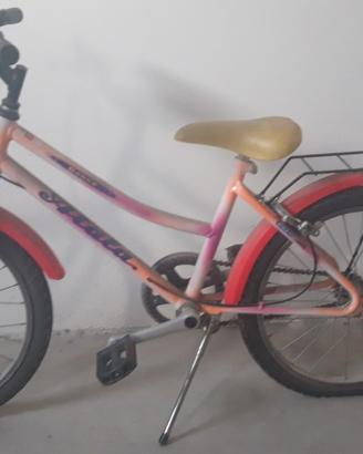 Bicicletta da bambina