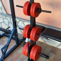 Rastrelliera porta pesi da palestra