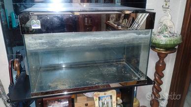 Acquario da ripulire