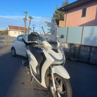 Motorino scoter