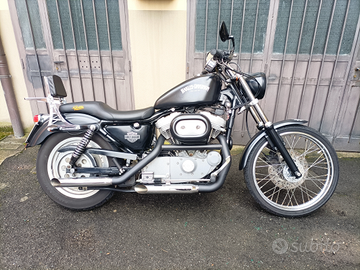 Harley Davidson 883 ASI storica