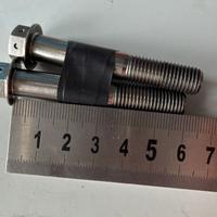 Viti titanio pinza