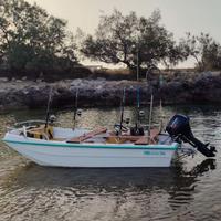 Barca CE,motore 20cv iniezione,carrello omologato.