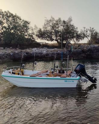 Barca CE,motore 20cv iniezione,carrello omologato.