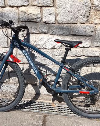 Mountain bike