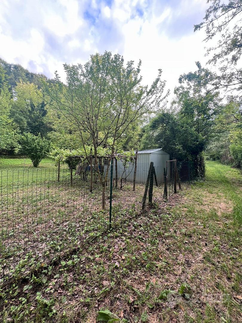 Terreno agricolo fuori porta pispini - Vista 3
