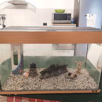 acquario juwel 150 Litri 