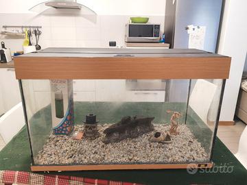 acquario juwel 150 Litri 