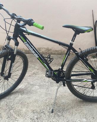 Mountain bike lombardo