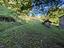 Immagine 30