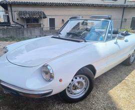 ALFA ROMEO Spider Duetto 2000 Veloce 1981