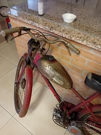 mosquito 50cc