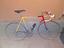 Immagine 1