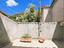Immagine 7