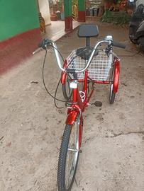 bicicletta