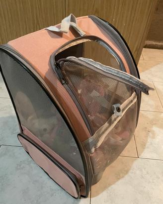 Corredo per il gatto