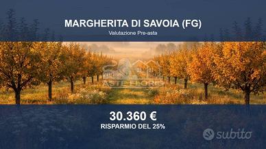 Immobile in asta di 3115 m² a Margherita di Savoia