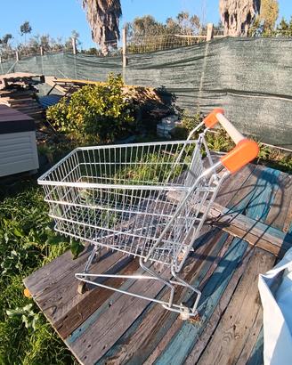 carrello della spesa