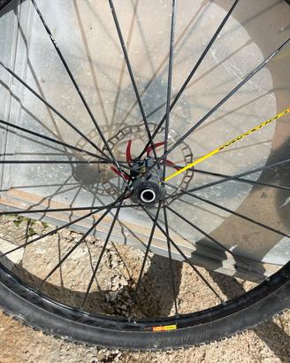 RUOTE MTB 29 pollici mavic cross max