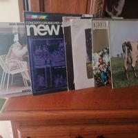 dischi 33 giri vinile