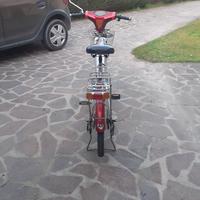 bicicletta elettrica