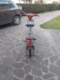 bicicletta elettrica