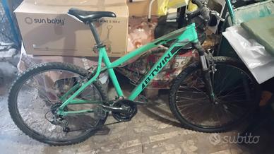 bicicletta