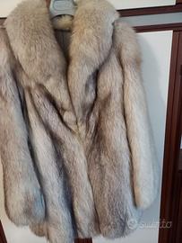 Pelliccia di volpe della Groenlandia